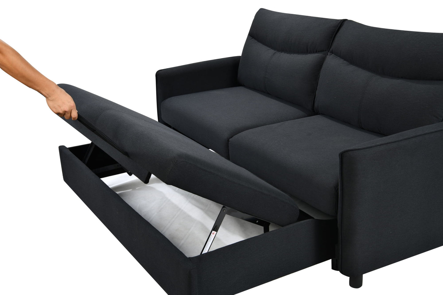 Contemporary Pullout Sofa Bed